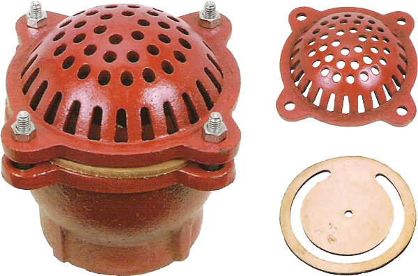 Cast Iron Foot Valve with Strainer